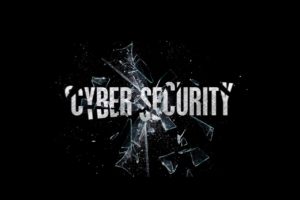 cyber security bild von darwin laganzon auf pixabay