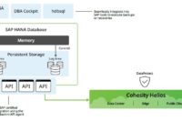 bild sap sol brief cohesity