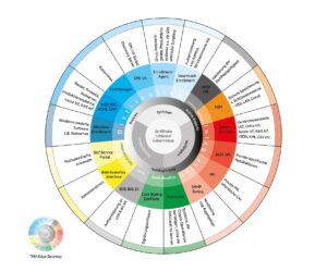 ECOS Technology TMA Diagramm de