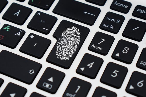 data LoB Pixa Kris thedigitalway